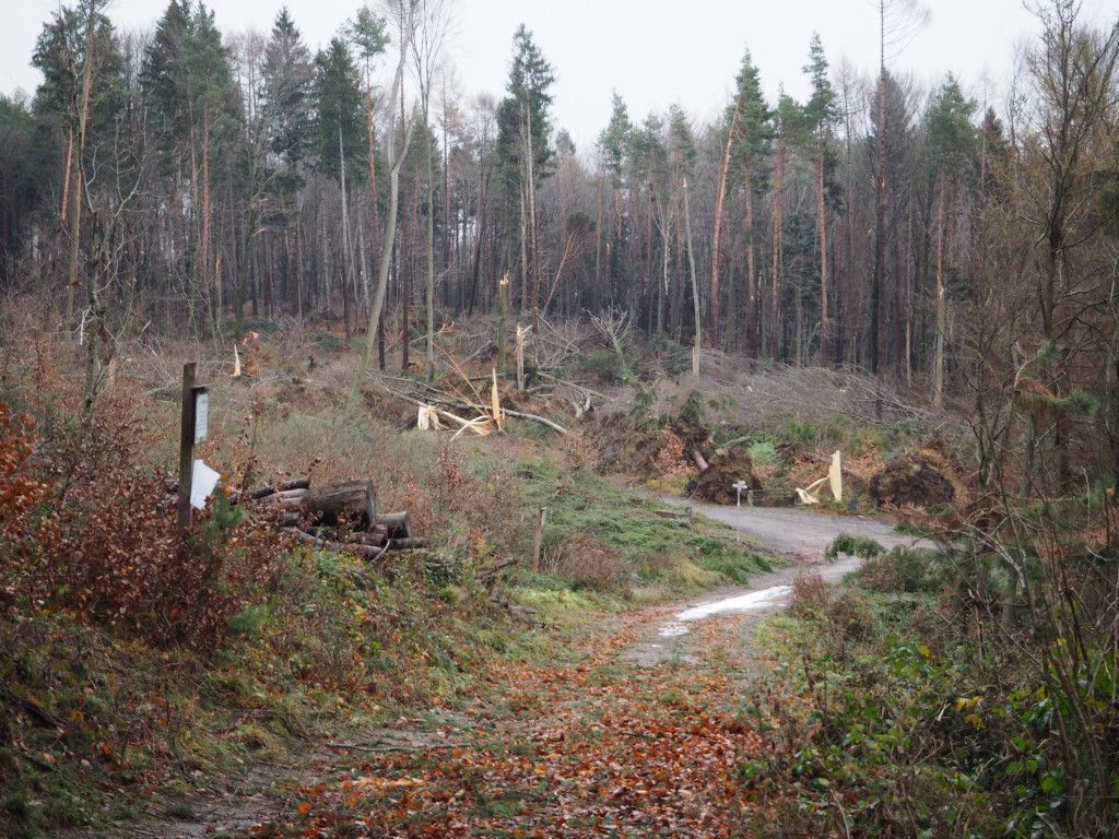 P1010065.JPG
