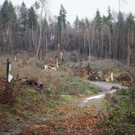 P1010065.JPG