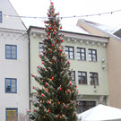 IMG_1048.JPG