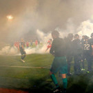 AFP_V533W.jpg