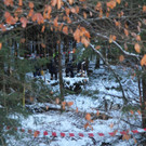 IMG_1908.JPG
