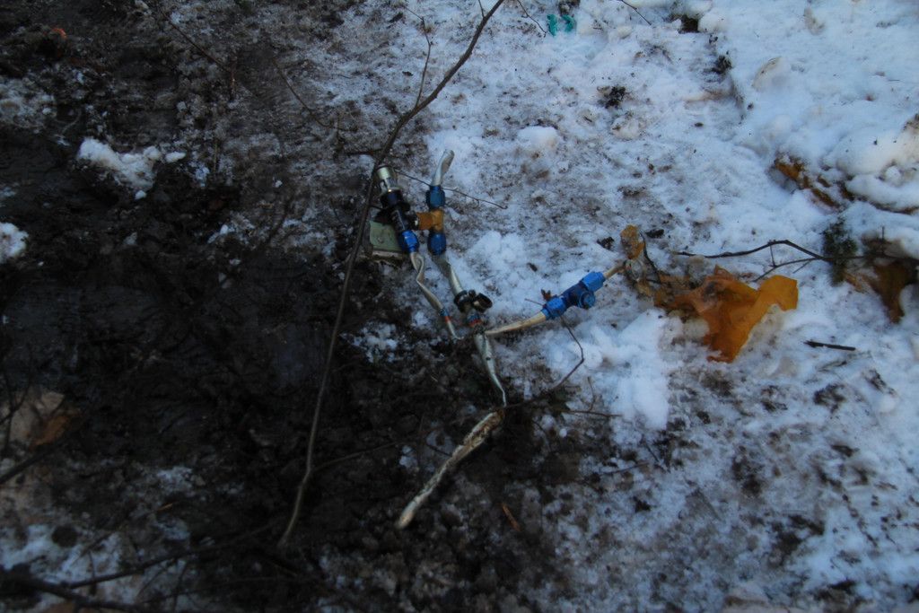 IMG_1913.JPG