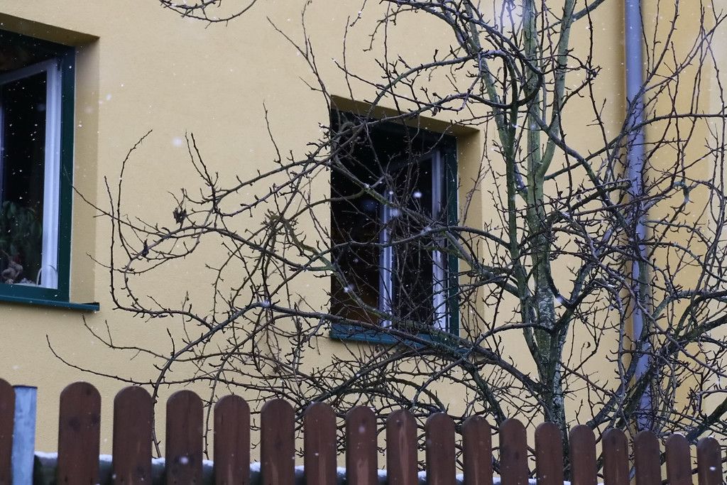 20171217fmt_brandjosefiau_ta_006.JPG