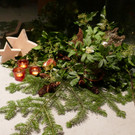 P1050055.JPG