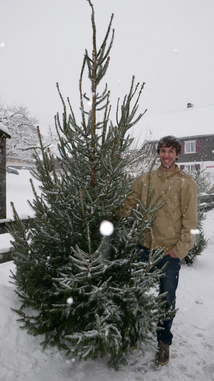 christbaummarkt 2017 _2_.JPG