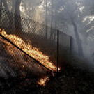 California_Wildfires_07116.jpg