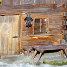 DSC01035.JPG