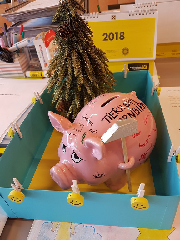 Sparschwein f__r Tiere.jpg