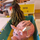 Sparschwein f__r Tiere.jpg