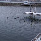 IMG_1989.JPG