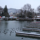 IMG_2026.JPG