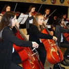 Ministrings.JPG