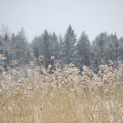 Weihnachten in Finnland