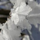 20170128_105551.jpg