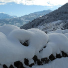 DSCN7131.jpg