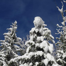 DSCN7147.jpg