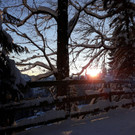 IMG_2920.JPG
