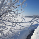 IMG-20170122-WA0008.jpg