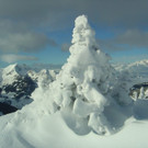 DSC01494.jpg