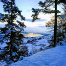 DSC_2324-EFFECTS.jpg