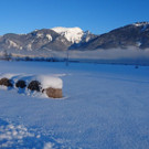 DSC_2450.JPG