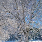 DSC_2506.JPG