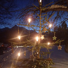 Waldweihnacht 2017 _8_.JPG