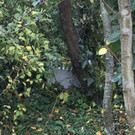 IMG-20171102-WA0007.jpg