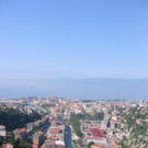 801390.jpg