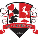 PVG_Logo1.jpg