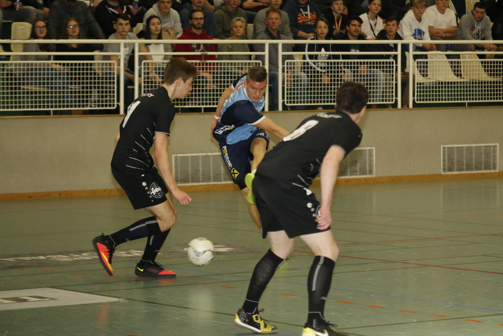 hard elvin ibrisimovic gegen g__fis.jpg