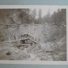 roethis01_003.JPG