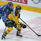 Vienna Capitals gegen Fehervar: Bilder vom Spiel