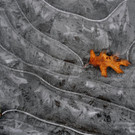 Texas_Weather_82195.jpg