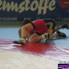 806619.jpg