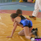 806625.jpg