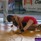 806631.jpg