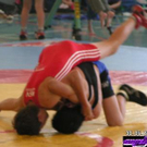 806642.jpg