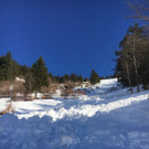 bild_von_ios_hochgeladen _2_.jpg