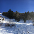 bild_von_ios_hochgeladen.jpg