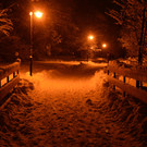 DSC_0881 _1_.jpg