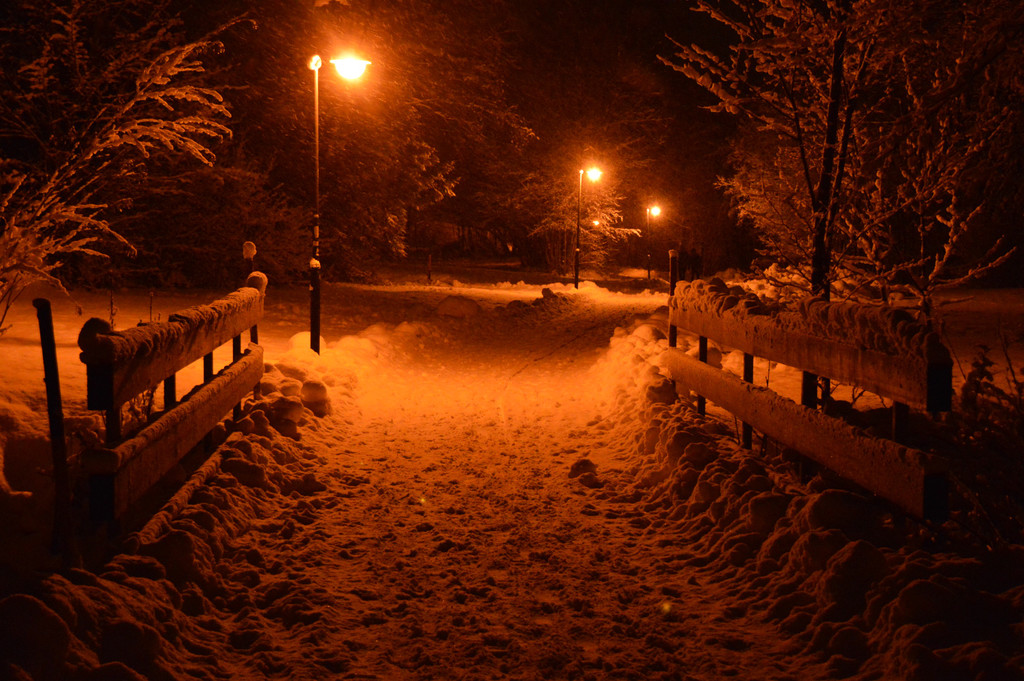 DSC_0881 _1_.jpg