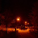 DSC_0885 _1_.jpg