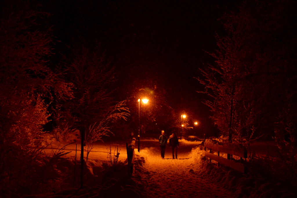 DSC_0885 _1_.jpg