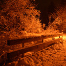 DSC_0887 _1_.jpg