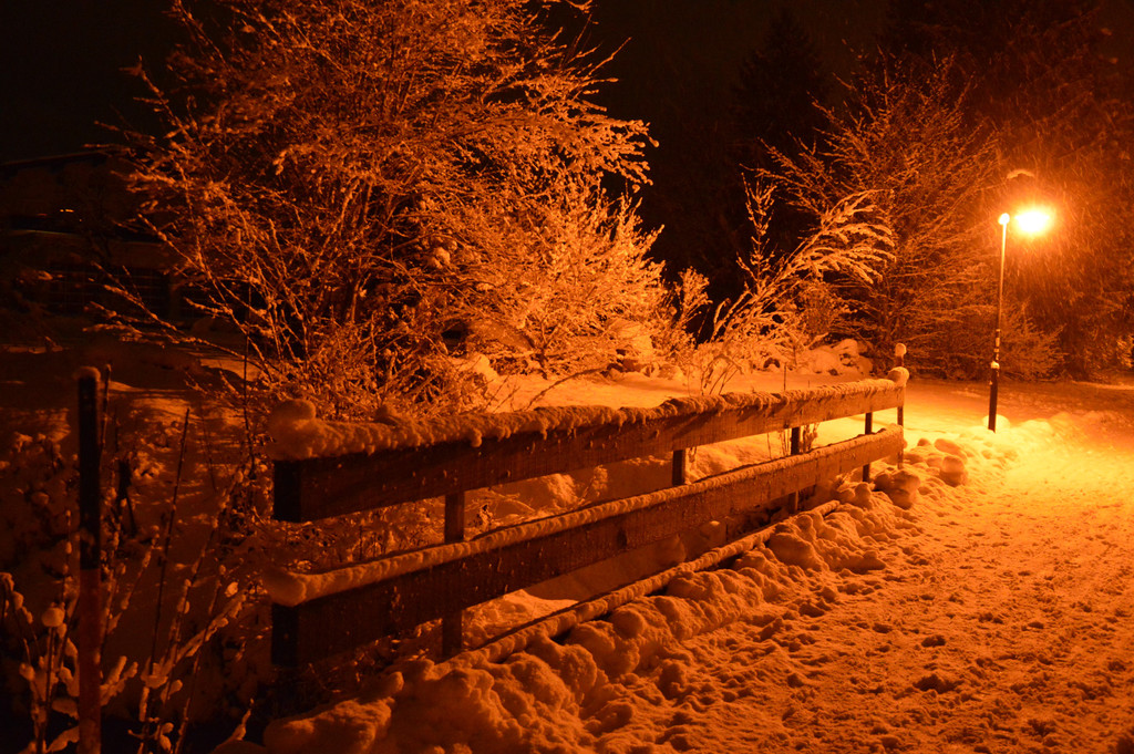 DSC_0887 _1_.jpg