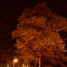 DSC_0898 _1_.jpg