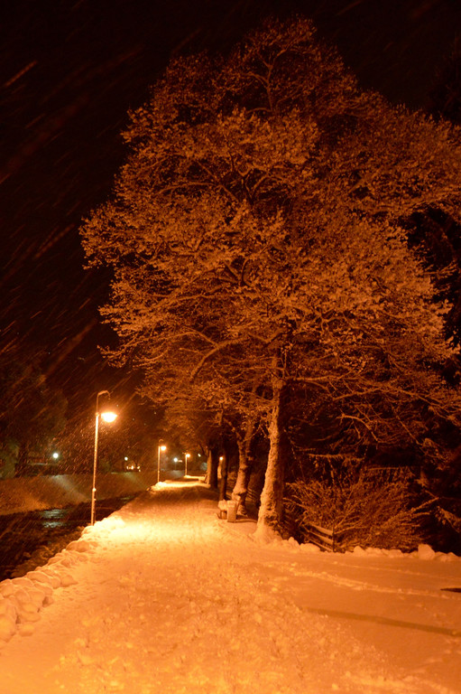 DSC_0898 _1_.jpg