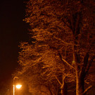 DSC_0902 _2_.jpg