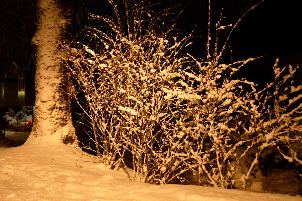 DSC_0903 _3_.jpg